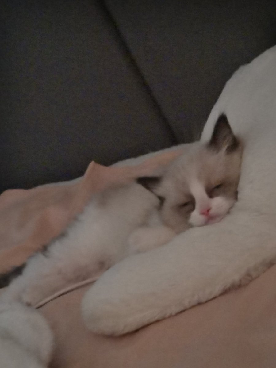 早安啊我的小鼻嘎 #les #女同