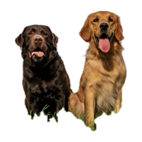 _ShellyG_'s tweet photo. We love technology …  I created the prompts here is us ❤️ https://t.co/oXvztjkvG2