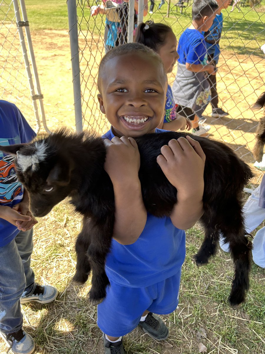 Sardis Elementary School (@sardisesnc) on Twitter photo Kindergartners had a blast at Wise Acres for strawberry picking, petting farm animals, enjoying a hayride, and fun on the playground. ๐๐ผ๐ This trip tied into their plant unit and farm unit! <a href="/kellylmarks54/">Kelly Frycz</a> <a href="/AGHoulihan/">Andrew G. Houlihan</a> <a href="/UCPSNC/">Union County Public Schools</a> <a href="/boatcandice/">Candice Boatright</a> Kindergartners had a blast at Wise Acres for strawberry picking, petting farm animals, enjoying a hayride, and fun on the playground. ๐๐ผ๐ This trip tied into their plant unit and farm unit! <a href="/kellylmarks54/">Kelly Frycz</a> <a href="/AGHoulihan/">Andrew G. Houlihan</a> <a href="/UCPSNC/">Union County Public Schools</a> <a href="/boatcandice/">Candice Boatright</a>