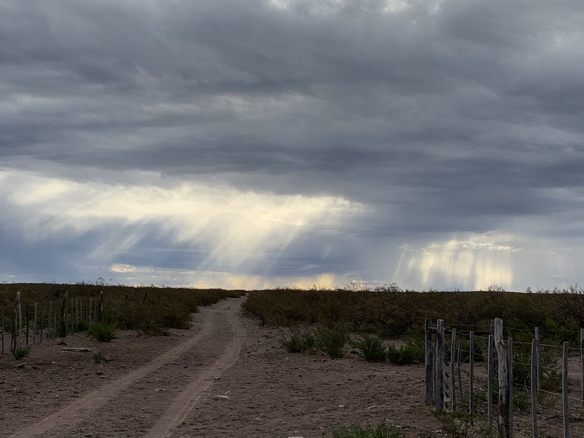 demarcation2512's tweet photo. Oigan, si les preocupa tanto que la Patagonia se esté llenando de extranjeros primero ocúpense de bajarle los impuestos y regulaciones a los que están  ahí aguantando la Patria porque los campos se están vaciando y no por culpa de los extranjeros sino por AFIP y Senasa. Saludos. https://t.co/YYpL8aTkaq