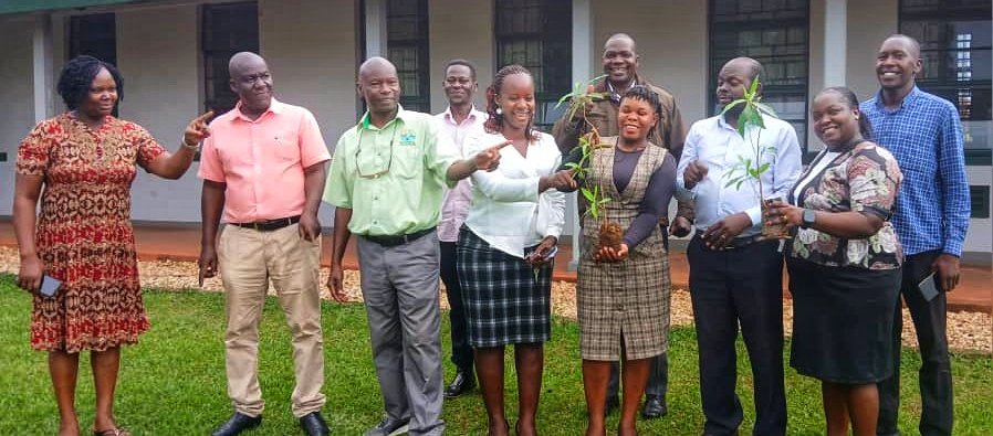 <a href="/narouganda/">NARO Uganda</a> NARL&amp;UBC  commemorate Indigenous trees day on 15 April. Took climate action by planting  Warburgia ugandensis at UBC &amp;Kawanda <a href="/MAAIF_Uganda/">MAAIF 🇺🇬</a> @ASA <a href="/BucadefUg/">Buganda Cultural & Development Foundation(BUCADEF)</a>  <a href="/The_EastAfrican/">The EastAfrican</a>  <a href="/nemaug/">National Environment Management Authority (NEMA)</a>  <a href="/newvisionwire/">The New Vision</a> <a href="/UgandaCoop/">Uganda Co-operative Alliance Ltd.</a>  <a href="/emilyarayo/">Emily Arayo Arineitw</a>  <a href="/KugonzaJane/">Jane Kugonza</a> <a href="/icipe/">icipe</a>