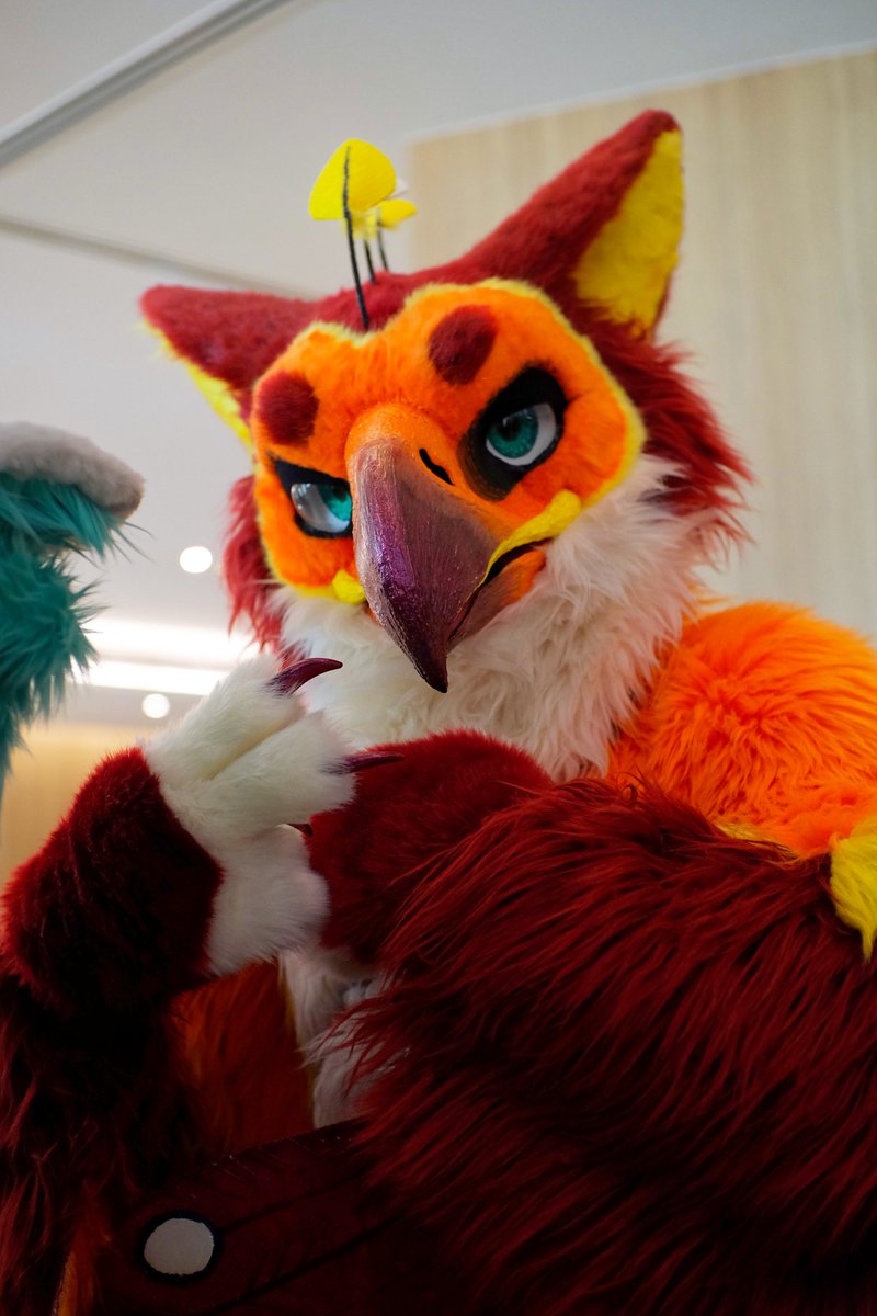 Yo!

📸 <a href="/Wofychuu/">Wofy Yems (EssZX) ✨💕🔜 IWAG'25</a> 
🧶 <a href="/TheBeastcub/">TheBeastcub</a> 

#FursuitFriday