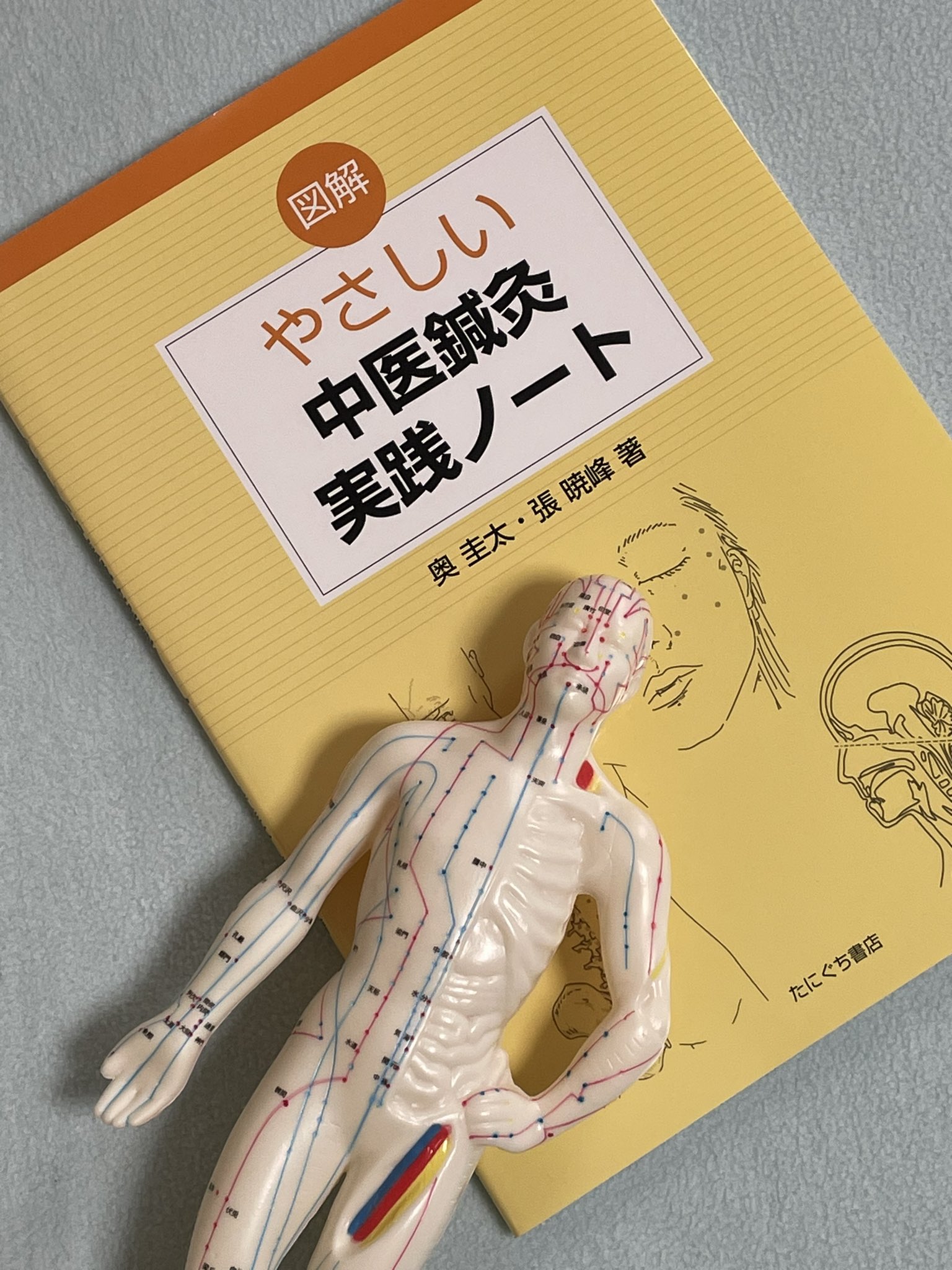 たにぐち書店 - Search / X