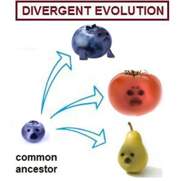 itmgaltalt's tweet image. 