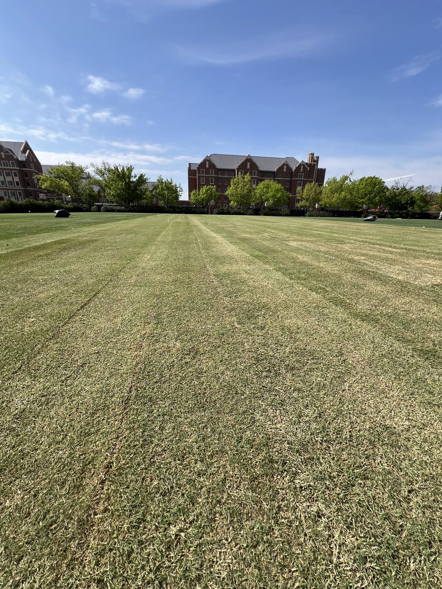 Winstead Turf Matrix (@winsteadmatrix) on Twitter photo Always a pleasure working with <a href="/UnitedTurfnTrak/">United Turf and Track</a>, this time <a href="/OU_Football/">Oklahoma Football</a>. Proud to see our standard Northbridge installation come together. Huge thanks to <a href="/tannermillerok/">Tanner miller</a> and his crew for the opportunity & support! <a href="/winsteadturf/">Doug Estes</a> <a href="/SodSolutions/">Sod Solutions</a> #RaiseYourStandard #SEC Always a pleasure working with <a href="/UnitedTurfnTrak/">United Turf and Track</a>, this time <a href="/OU_Football/">Oklahoma Football</a>. Proud to see our standard Northbridge installation come together. Huge thanks to <a href="/tannermillerok/">Tanner miller</a> and his crew for the opportunity & support! <a href="/winsteadturf/">Doug Estes</a> <a href="/SodSolutions/">Sod Solutions</a> #RaiseYourStandard #SEC
