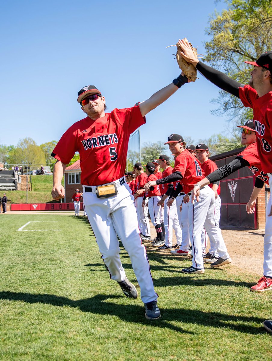 Lynchburg Baseball tweet media