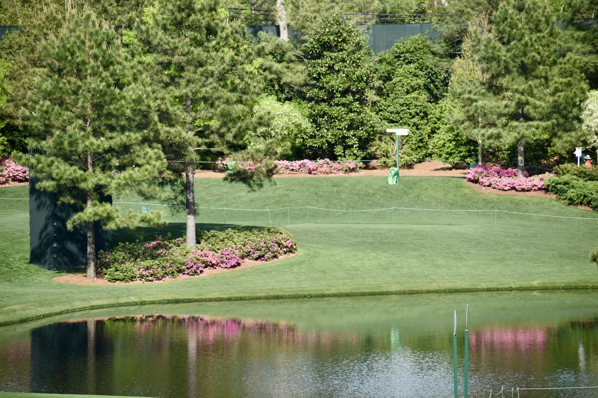 markbass01's tweet photo. Had the privilege of going to the Masters last week on Wednesday par 3 day.  Got some pretty great pics since cameras are allowed on practice days.  Here’s a few… https://t.co/fjL1ROlU0Y