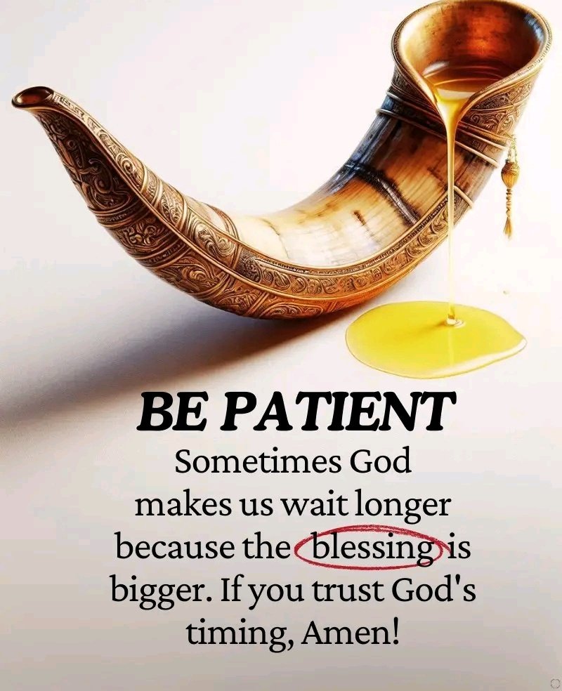 Holy Bible tweet media