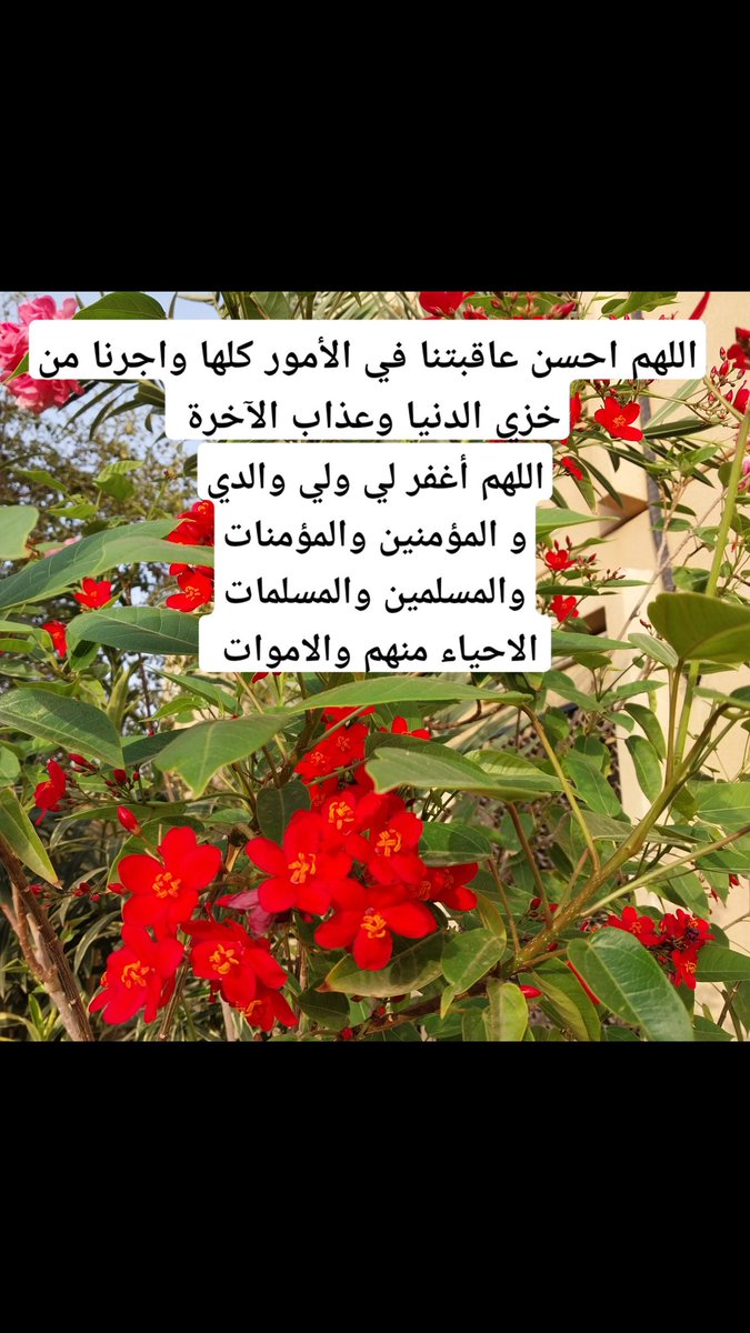 faisal tweet media