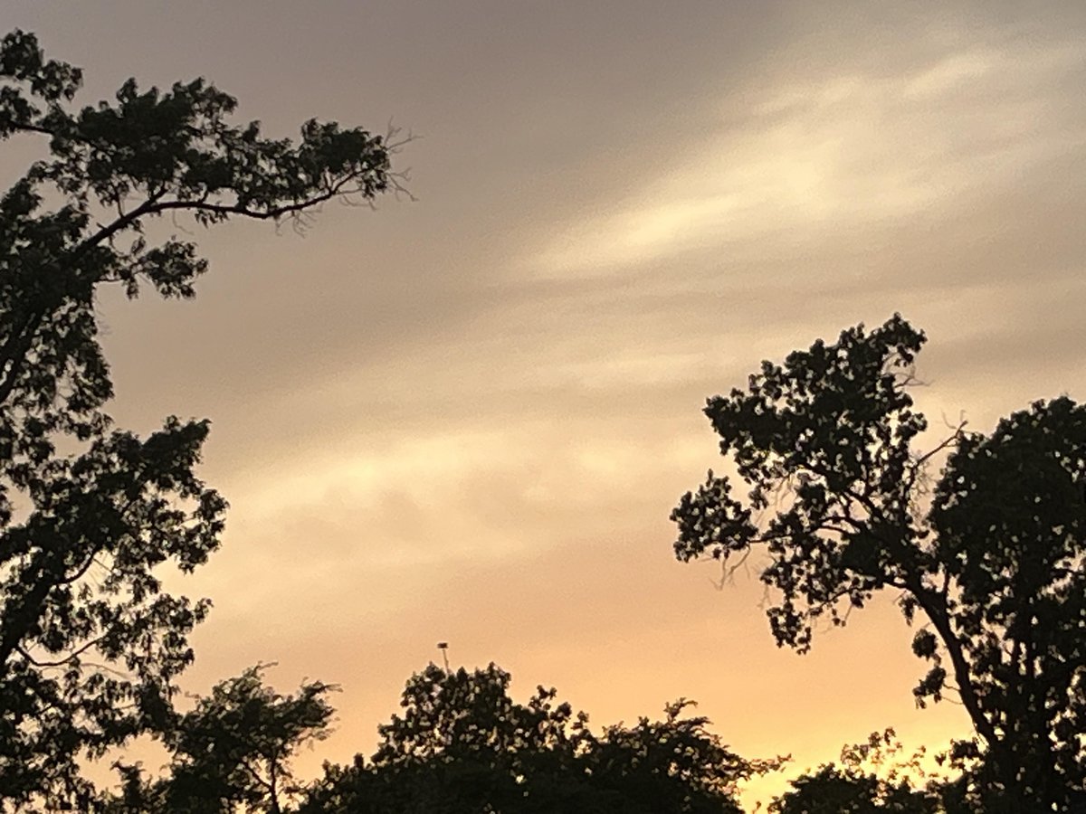 TraciAuthor's tweet photo. Tonight's sunset looks like a painting.  #GodsArtwork https://t.co/EPOhF8h5iq