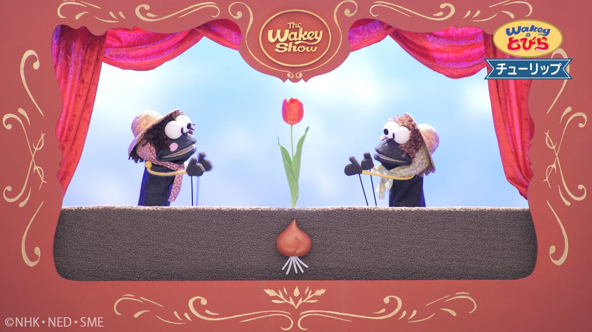 spring.has.come様 おまとめ マリボウル アラビアスパイス spring.has