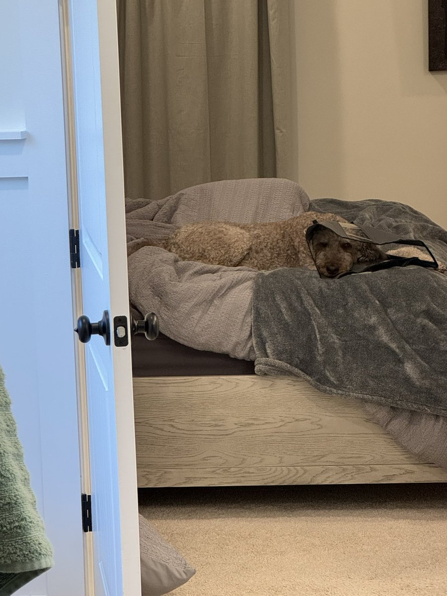 Someone is not happy…. 😬