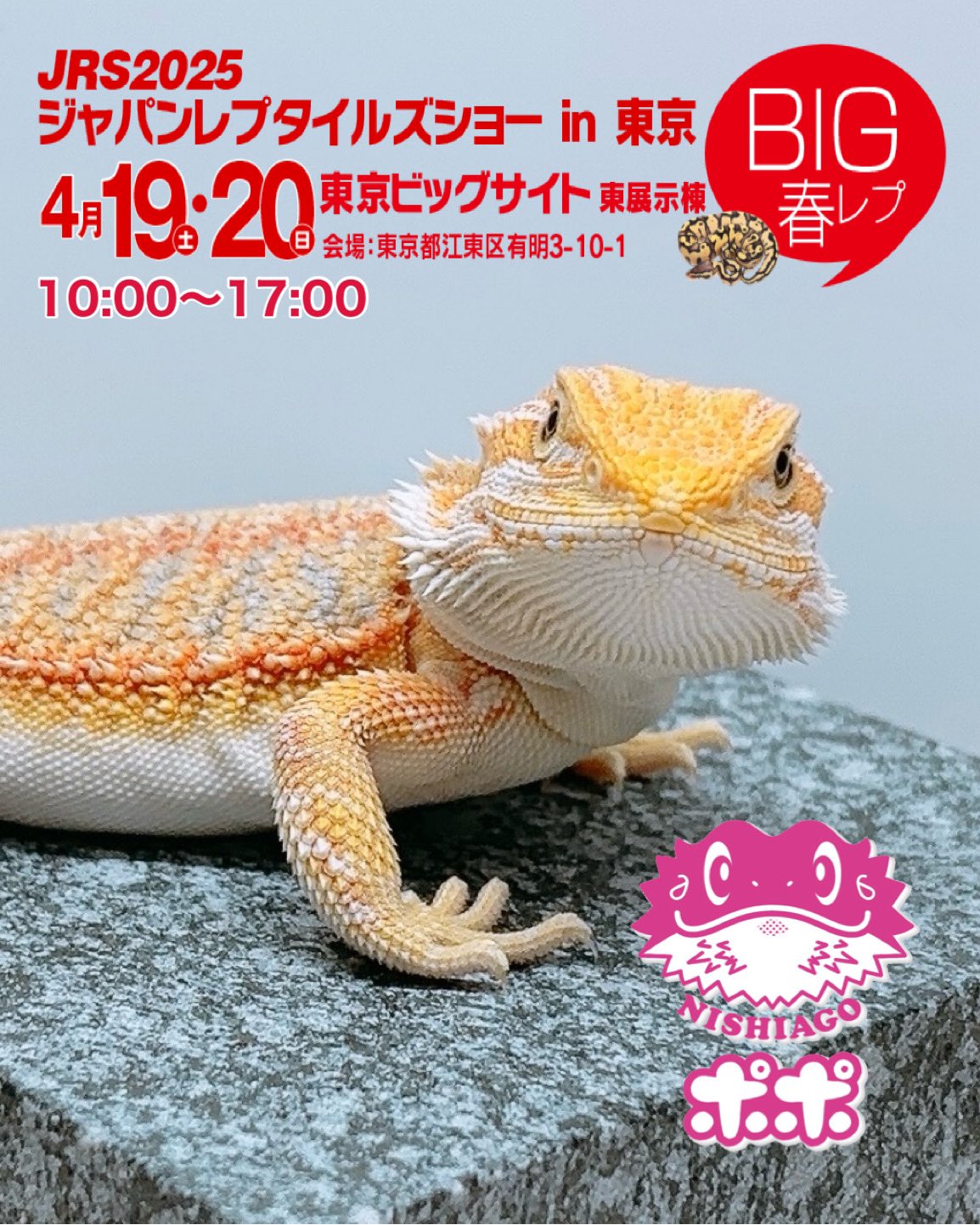ポポのケージ (@poponocage) / X ポポのケージ (@poponocage) / X