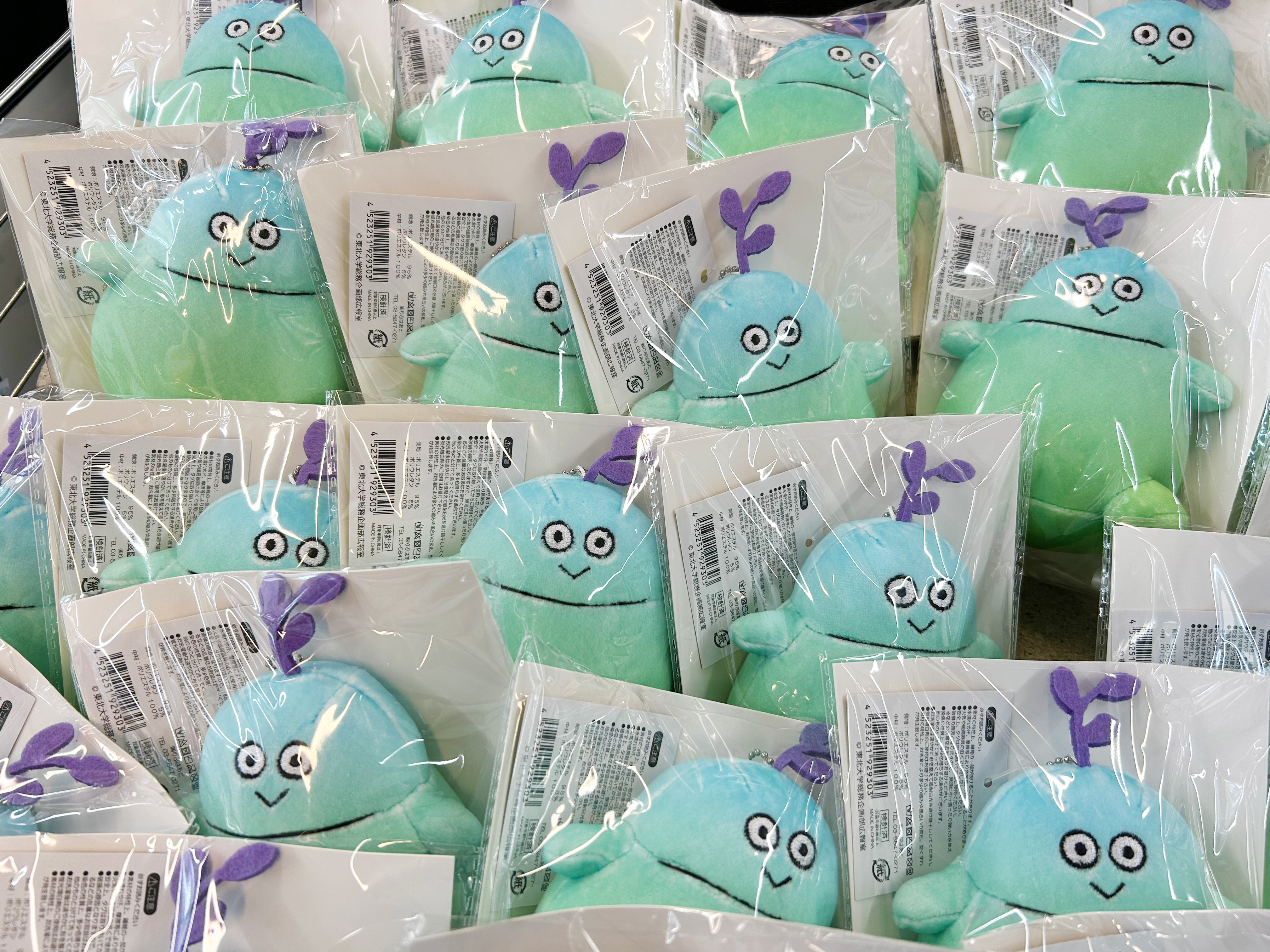 東北大学広報 on X: 