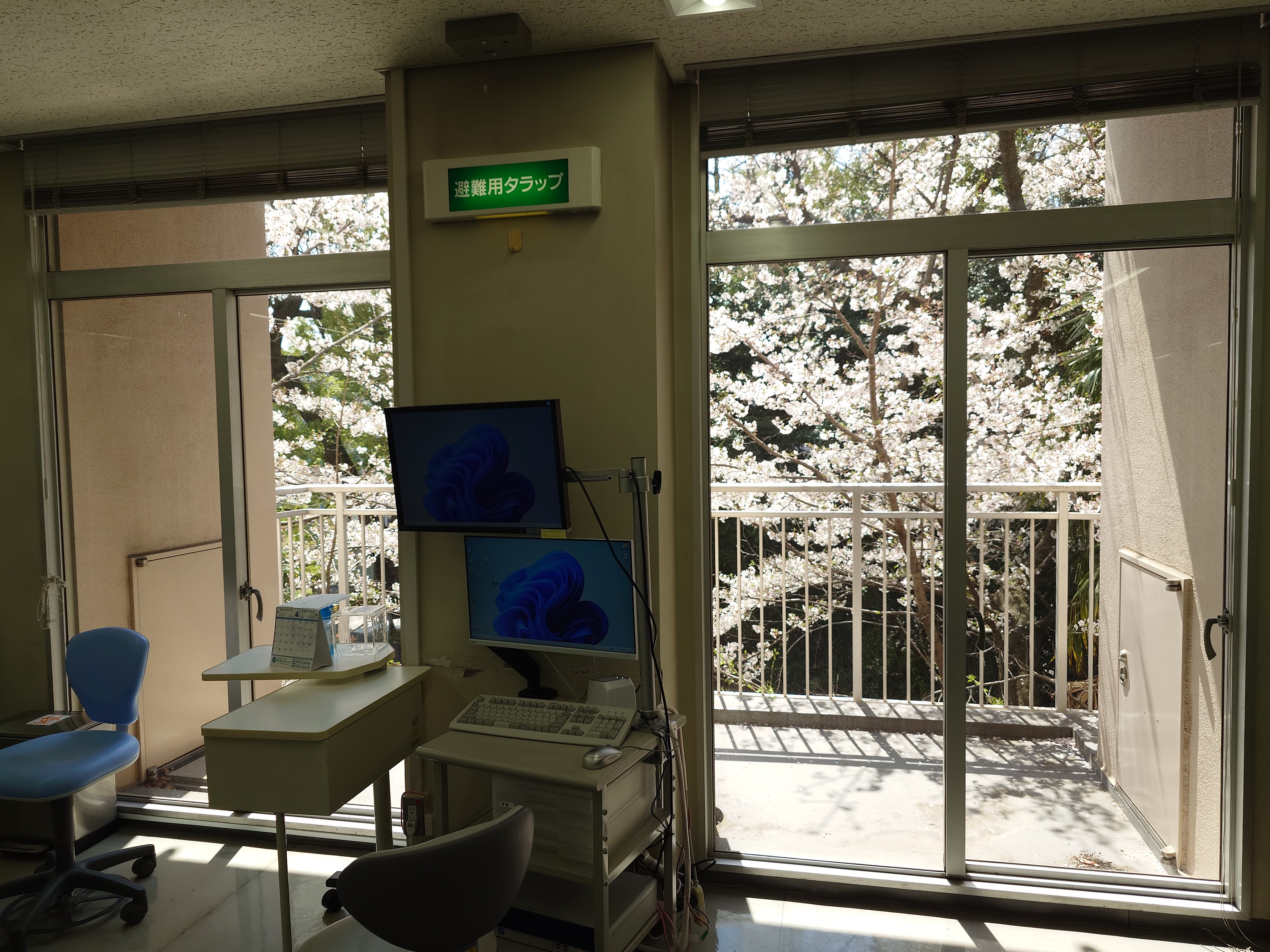口腔内科学 鶴見大学 口腔内科学講座【公式】 (@Tsurumi_u_om) / X