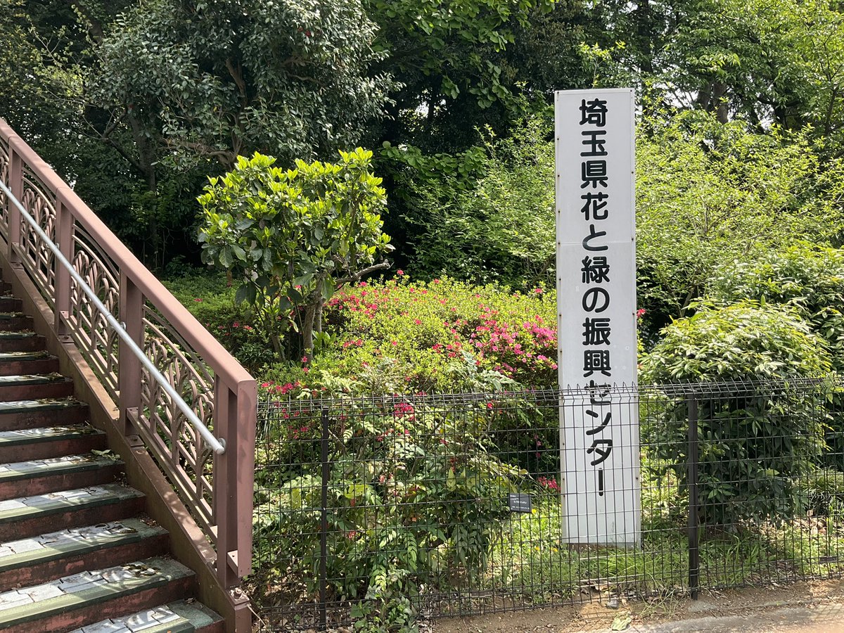 四ッ谷龍 │ 5/11 文学フリマ東京40【J-57】 (@leplusvert) / X 四ッ谷龍 │ 5/11 文学フリマ東京40【J-57】 (@leplusvert) / X
