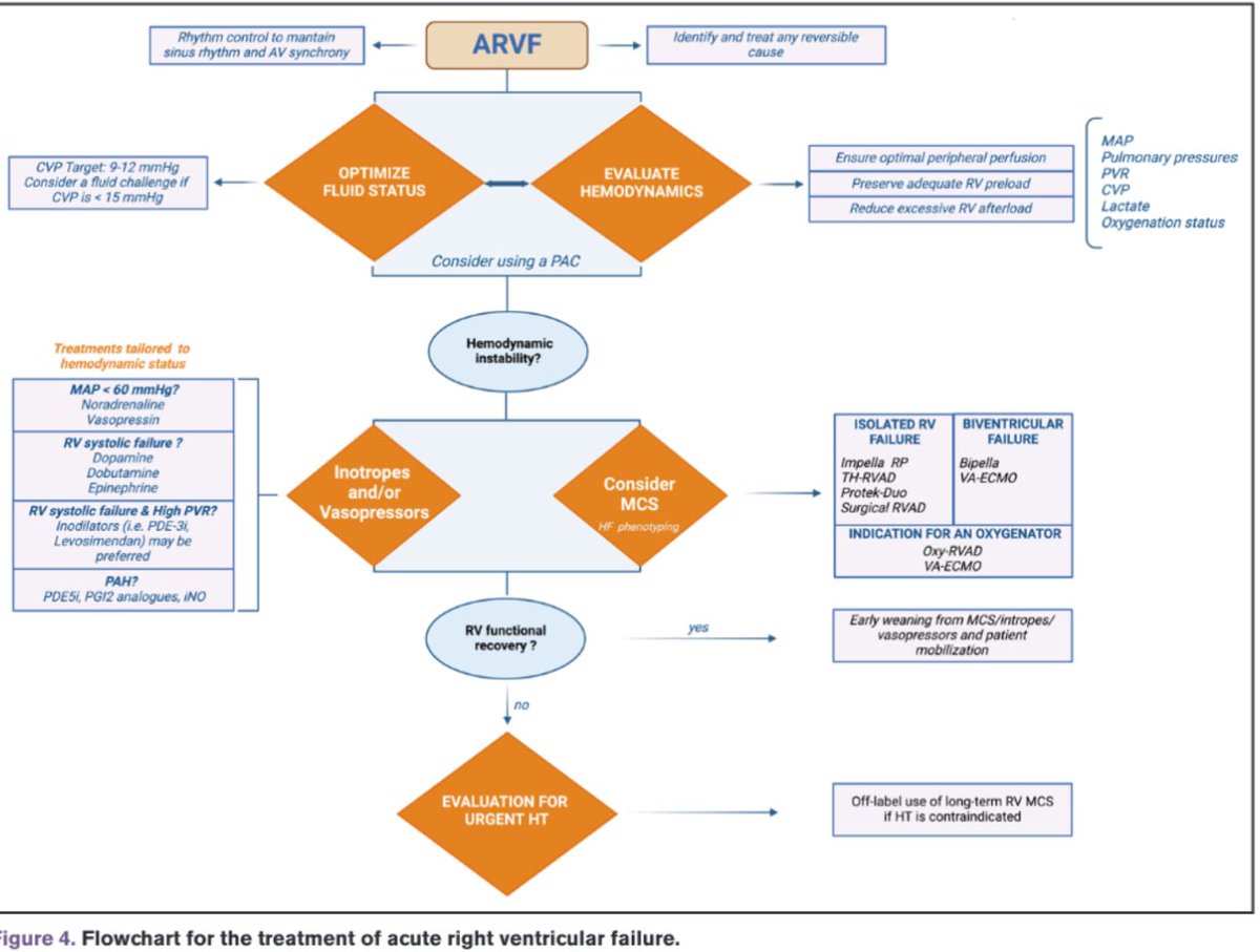 Henry Han (@hancardiomd) on Twitter photo Gaps and Knowledge in the Contemporary Management of Acute Right Ventricular Failure
ahajournals.org/doi/10.1161/CIā¦
<a href="/CircAHA/">Circulation</a> #RVFailure #HeartFailure #CardioEd <a href="/CircHF/">Circ: Heart Failure</a> Gaps and Knowledge in the Contemporary Management of Acute Right Ventricular Failure
ahajournals.org/doi/10.1161/CIā¦
<a href="/CircAHA/">Circulation</a> #RVFailure #HeartFailure #CardioEd <a href="/CircHF/">Circ: Heart Failure</a>