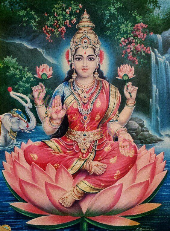 Dr Mahima singh Rathore tweet media