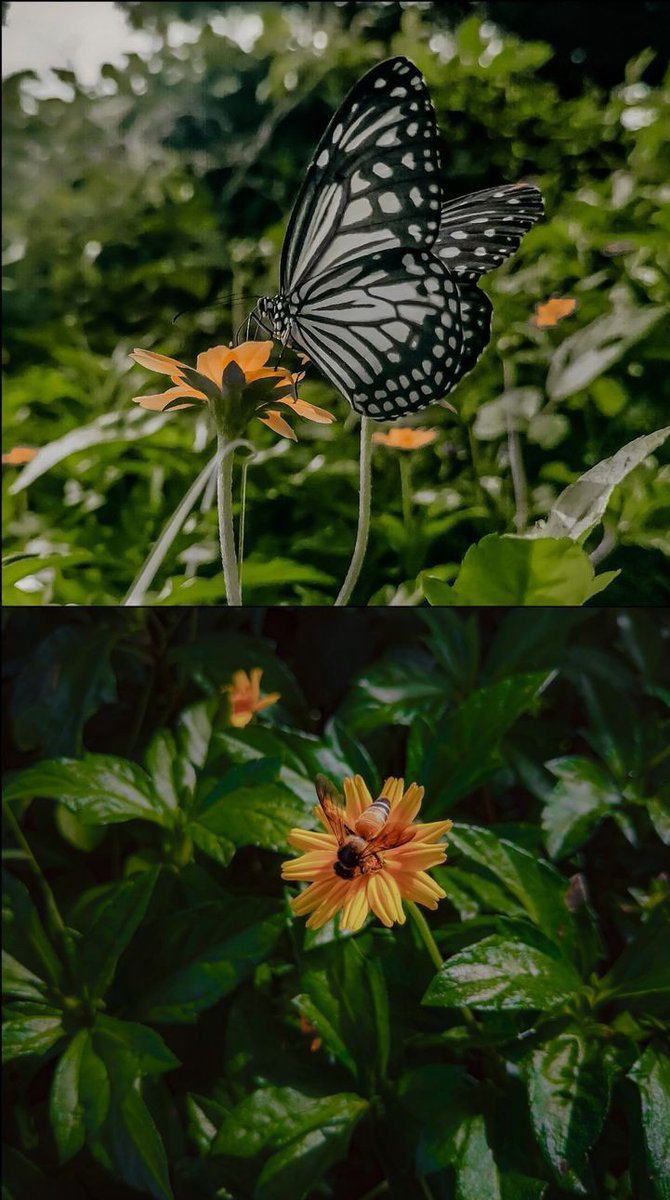 Everyday we start again to reach our goals and dreams🌹

Have a good friday everyone🌹