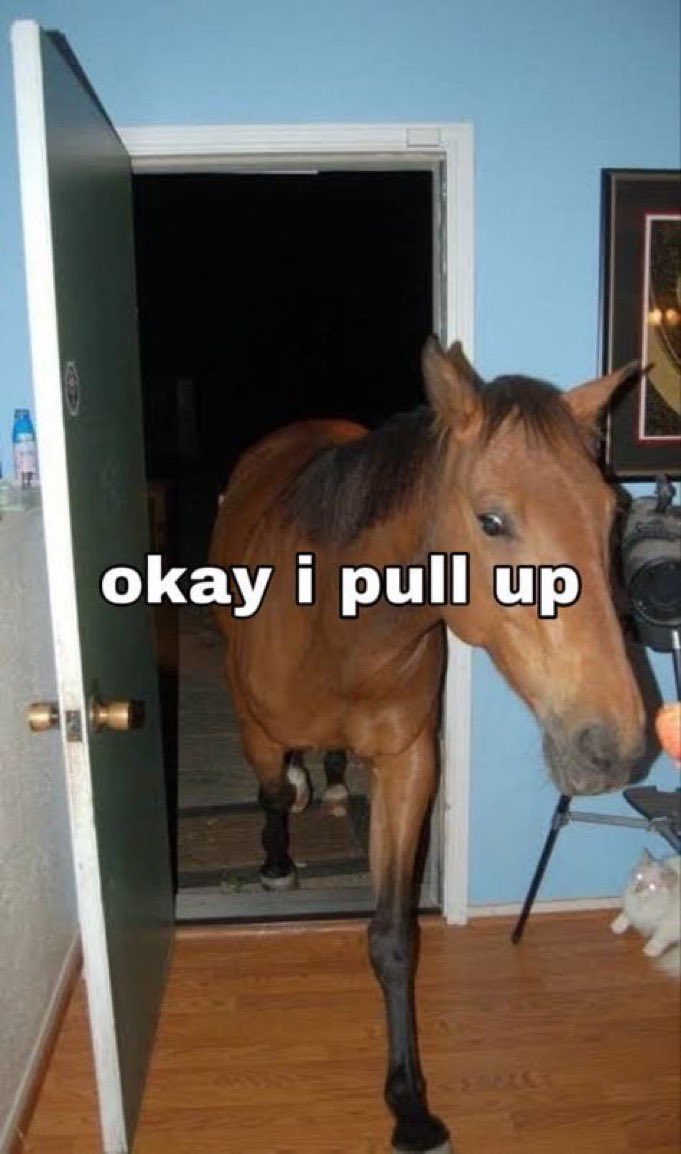 Tyler (@noysii) on Twitter photo 