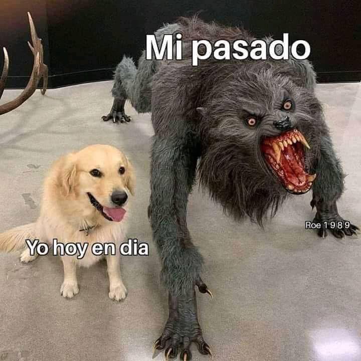 YO