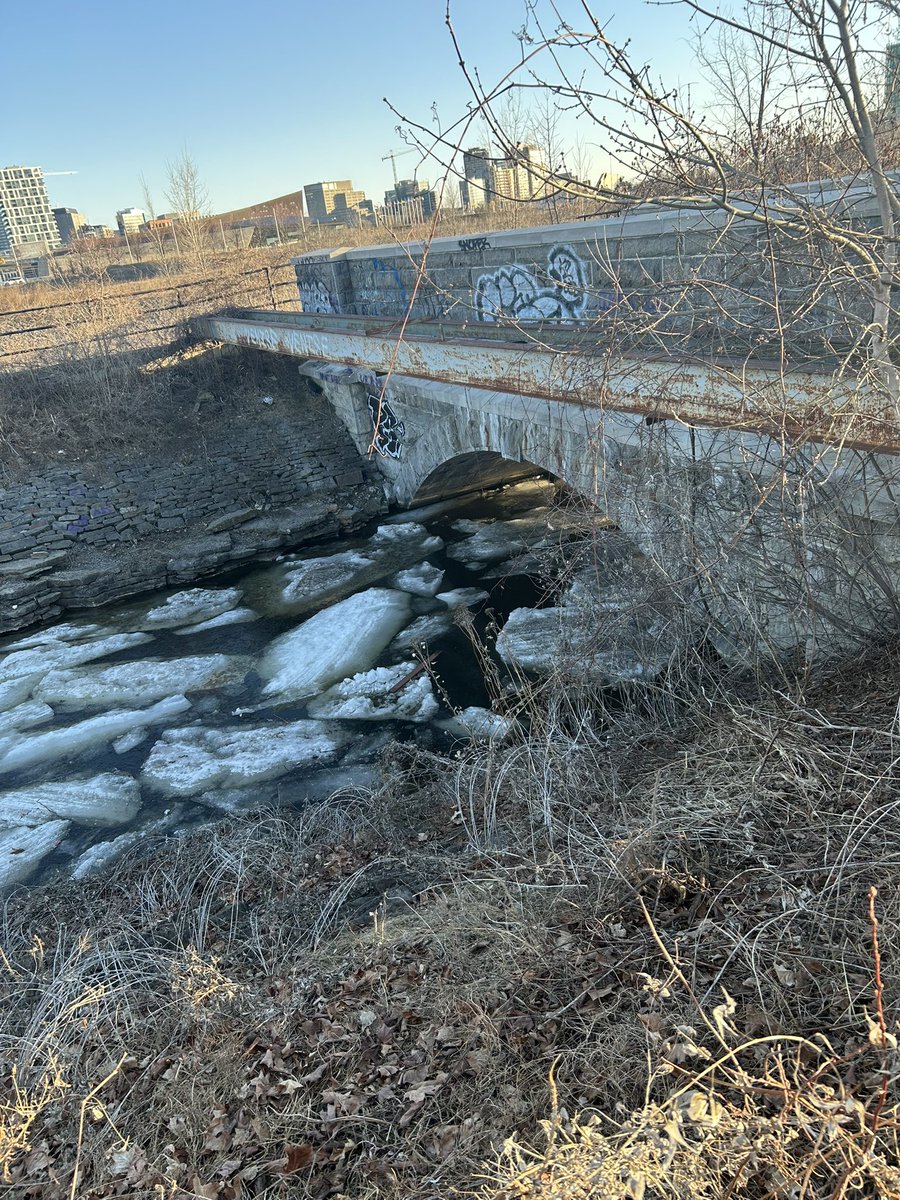 Pain and homeless people experience more pain <a href="/NYCDHS/">Homeless Services</a>