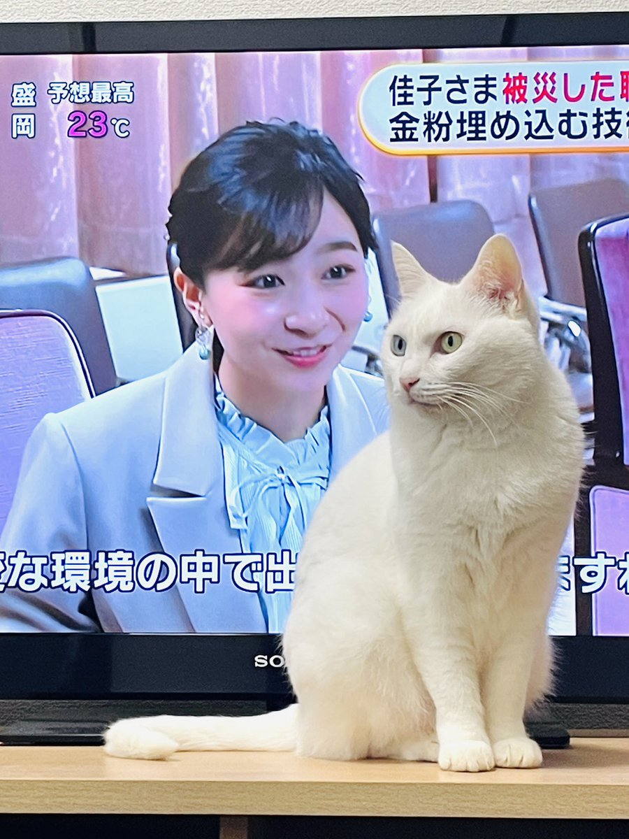 佳子さまがご覧になり…