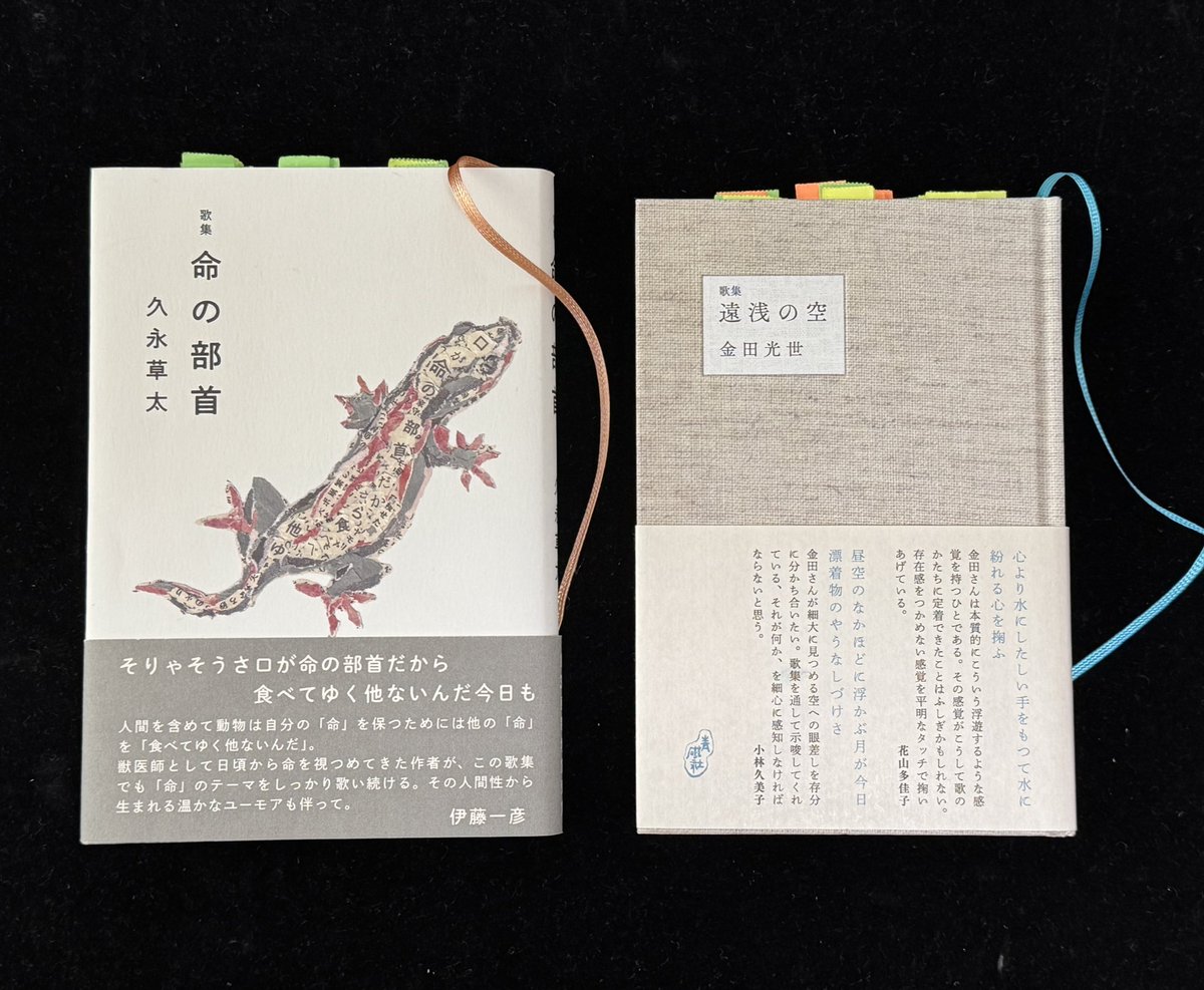 📣【第６９回現代歌人協会賞決定のお知らせ】📣

金田光世（カネタ　ミツヨ）
歌集『遠浅の空』（2024年4月29日　青磁社刊）

久永草太（ヒサナガ　ソウタ）
歌集『命の部首』（2024年9月24日　本阿弥書店刊）

2025年4月10日の理事会において上記2歌集を第69回現代歌人協会賞に決定しました。