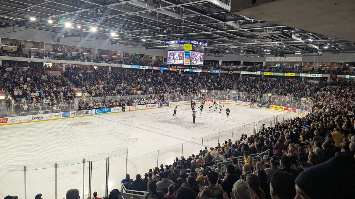 🫶 #BearTheK #TakeWarning