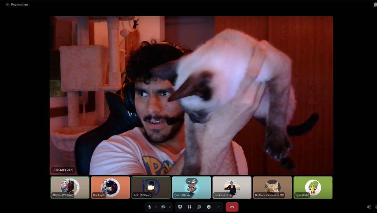 Common evening in Reyna Simps