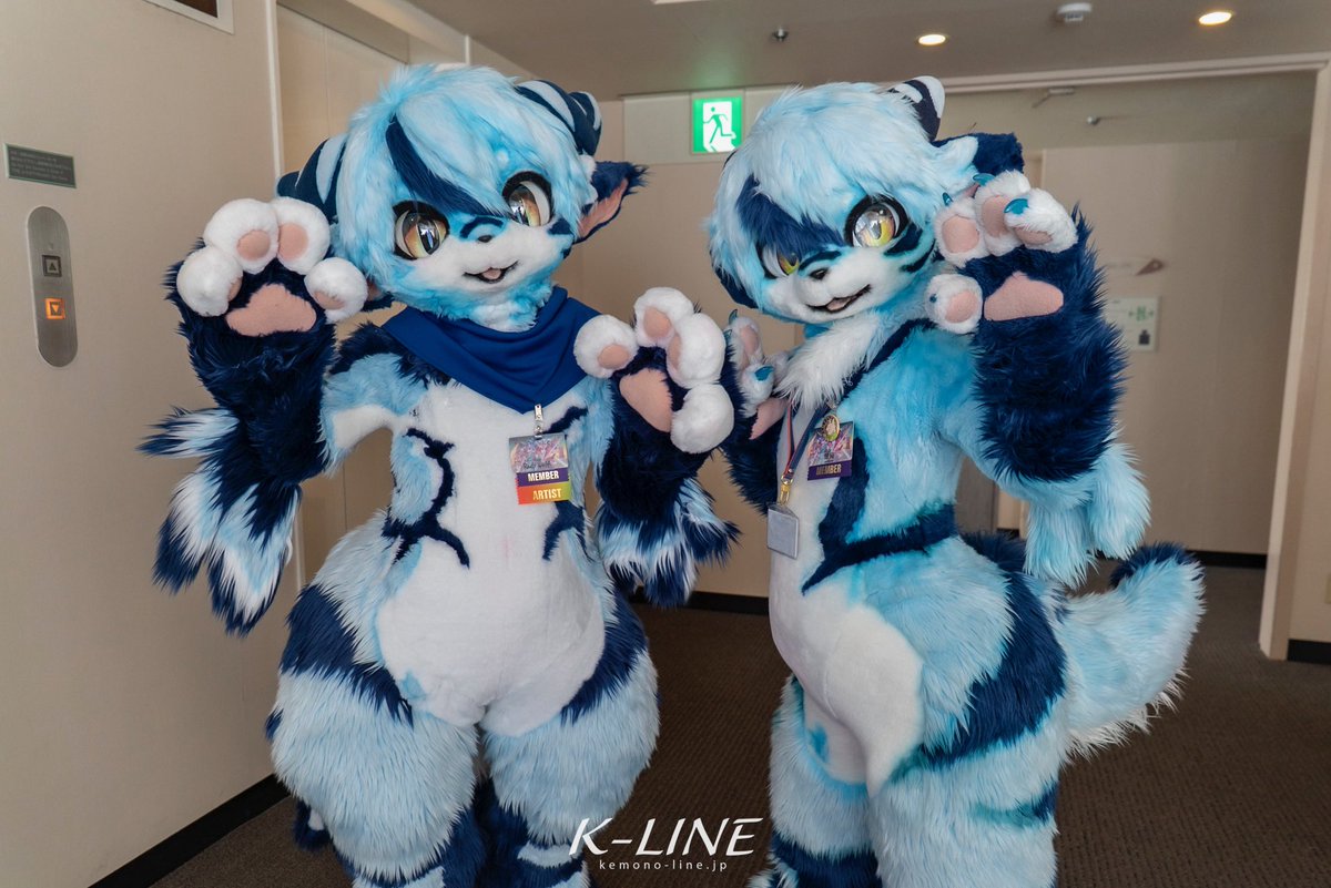 ダブルーフェン✨🩵💙✨

#Rufen