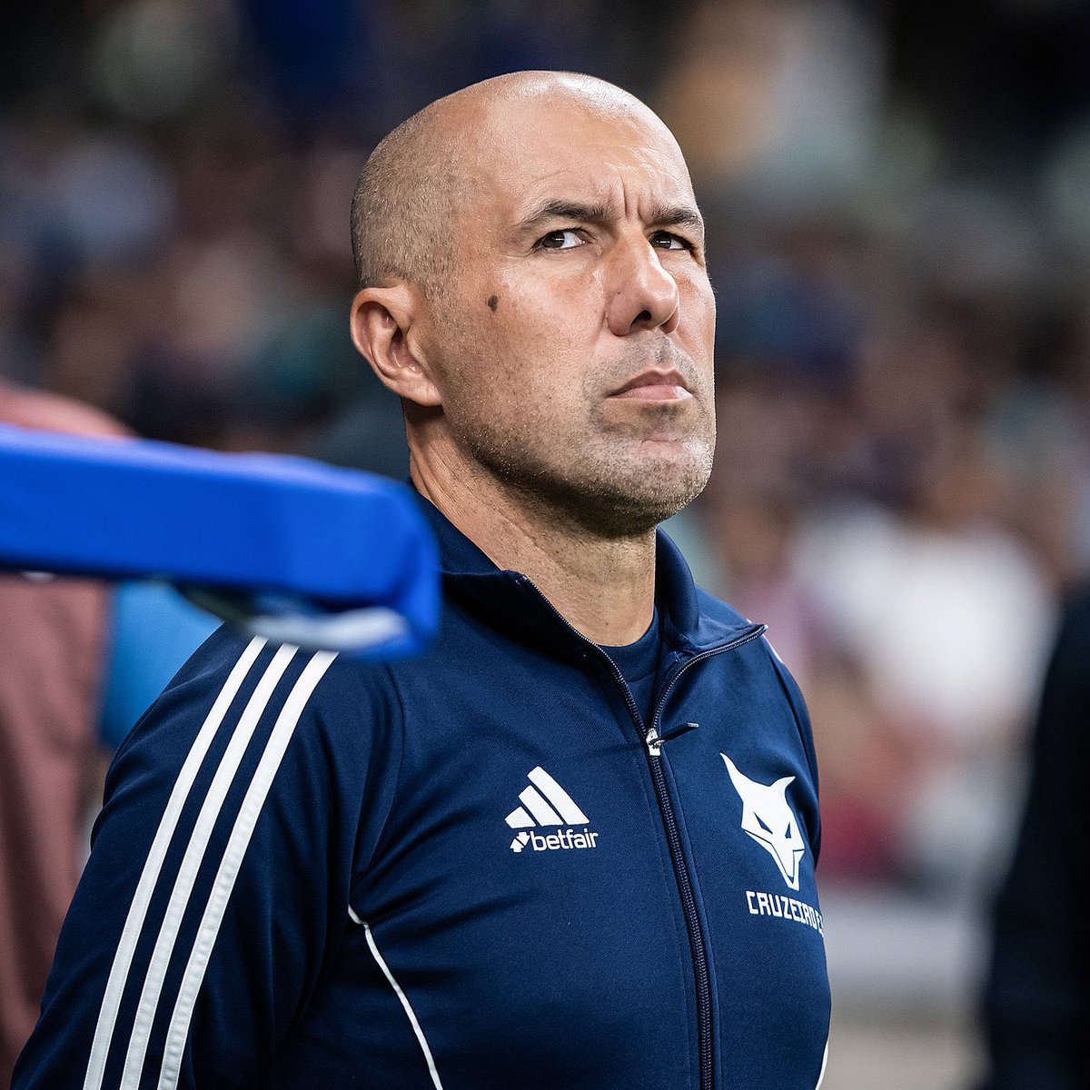 Quem não confia nesse homem não é cruzeirense ou é franga enrustida. 
EU CONFIO 100% NO LEONARDO JARDIM. 
COLOCA ATE O FUBÁ NO BANCO IMPORTANTE E OS 3 PONTOS. 
CRUZEIRO E MAIOR QUE TODOS