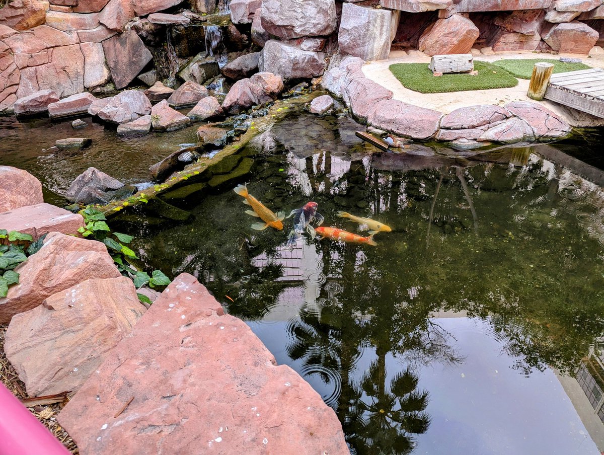 mediar 🔜 Rubbout tweet media