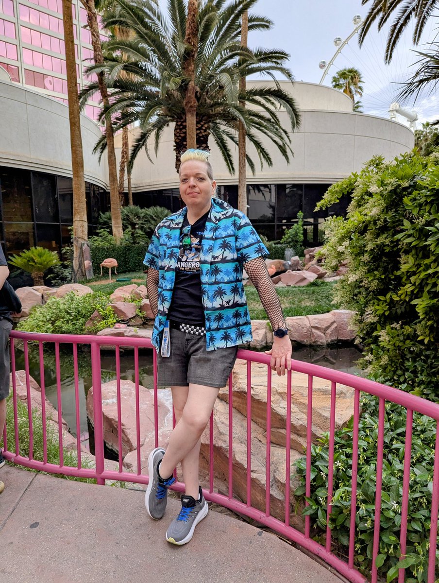 mediar 🔜 Rubbout tweet media