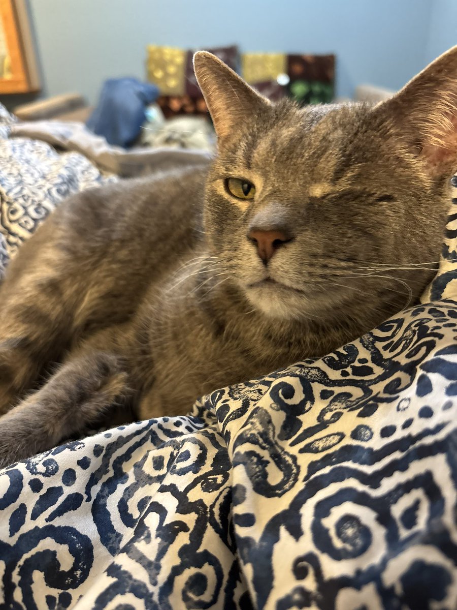 Love and peace from Tina and Milo. He says sweet dreams.