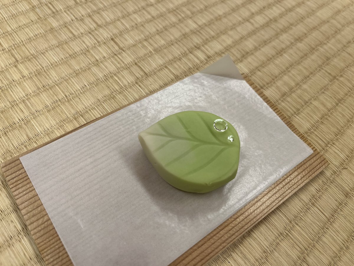 ごきげんよう🍵 大妻女子大学茶道部です！

今週は9名見学に来てくださいました！
そして、1名が入部してくださいました👏
写真は宝来屋の「若葉」です。

来週以降の見学も受け付けています！
InstagramかXのdmにて連絡お待ちしております✉️

 #大妻女子大学  #茶道部  #表千家  #owu