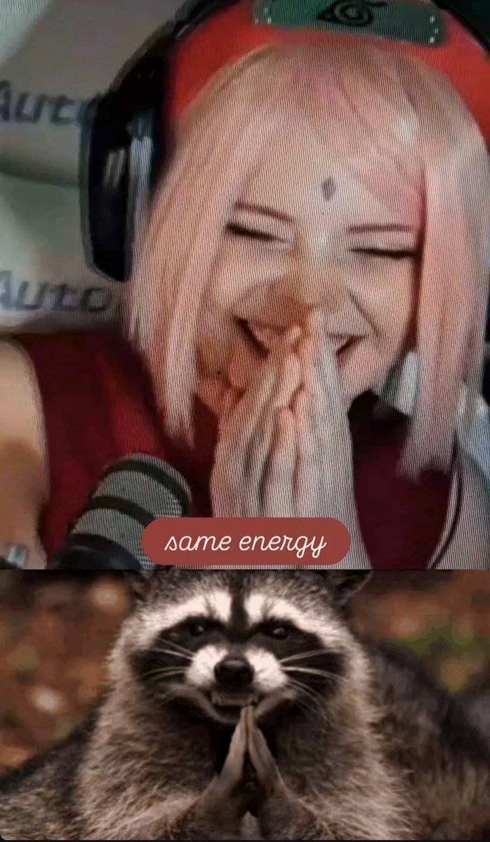 Waschbär 🤝🏻 Ich