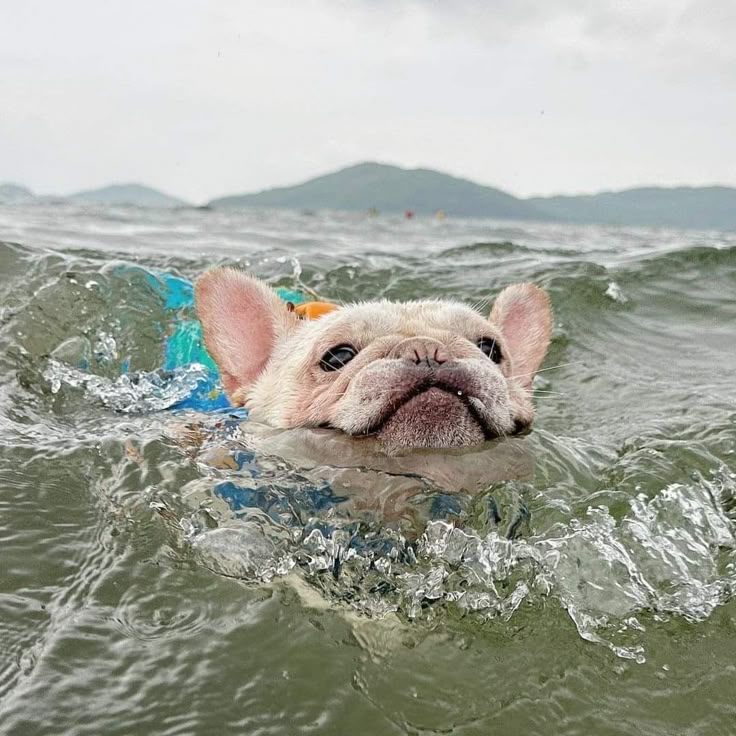 Excellent photography🥰