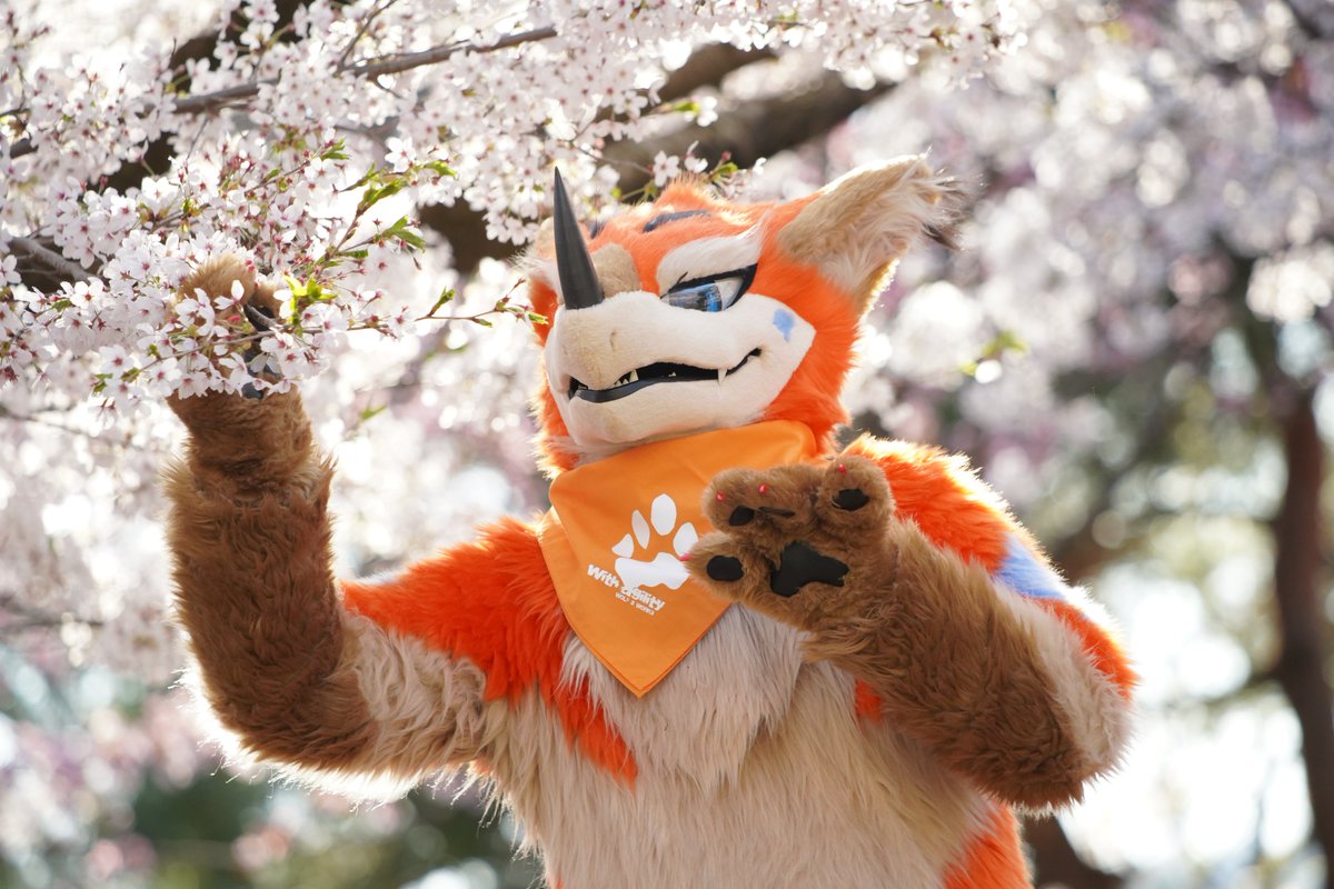 みんな春は満喫してるかな？
#FursuitFriday