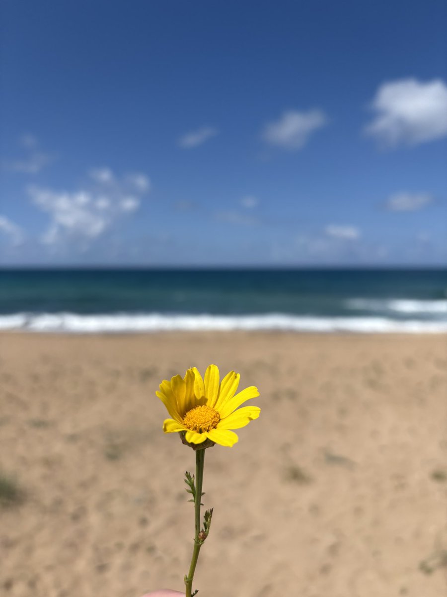 TimeArchitectt's tweet image. Planted on Earth, rooted in the cosmos
Good morning!