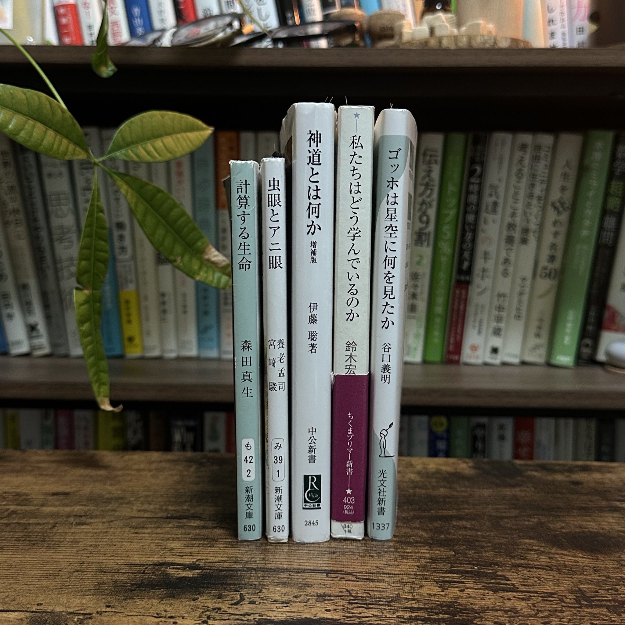 しんや | ちょっと知的な本紹介 (@shinya__books) / X しんや | ちょっと知的な本紹介 (@shinya__books) / X