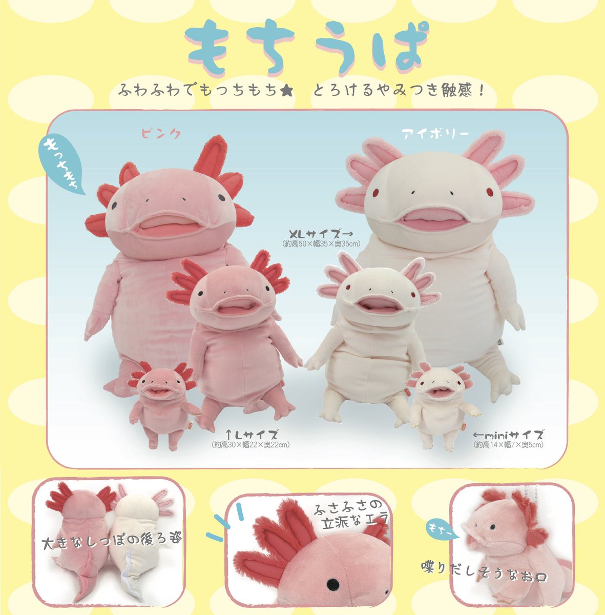 新商品のお知らせです！ #もちシリーズ の人気商品 #もちうぱ に特大XL