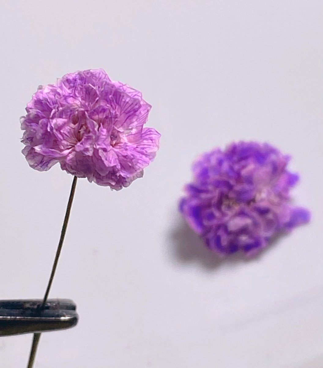 PEONIE.FLOWERHOME (@peonie_flower) on Twitter photo 