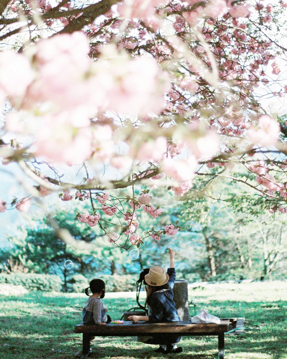 -　花に包まれたら　-

色とりどり
花かんむり
木陰でひるね
陽だまりの花と果実の香り