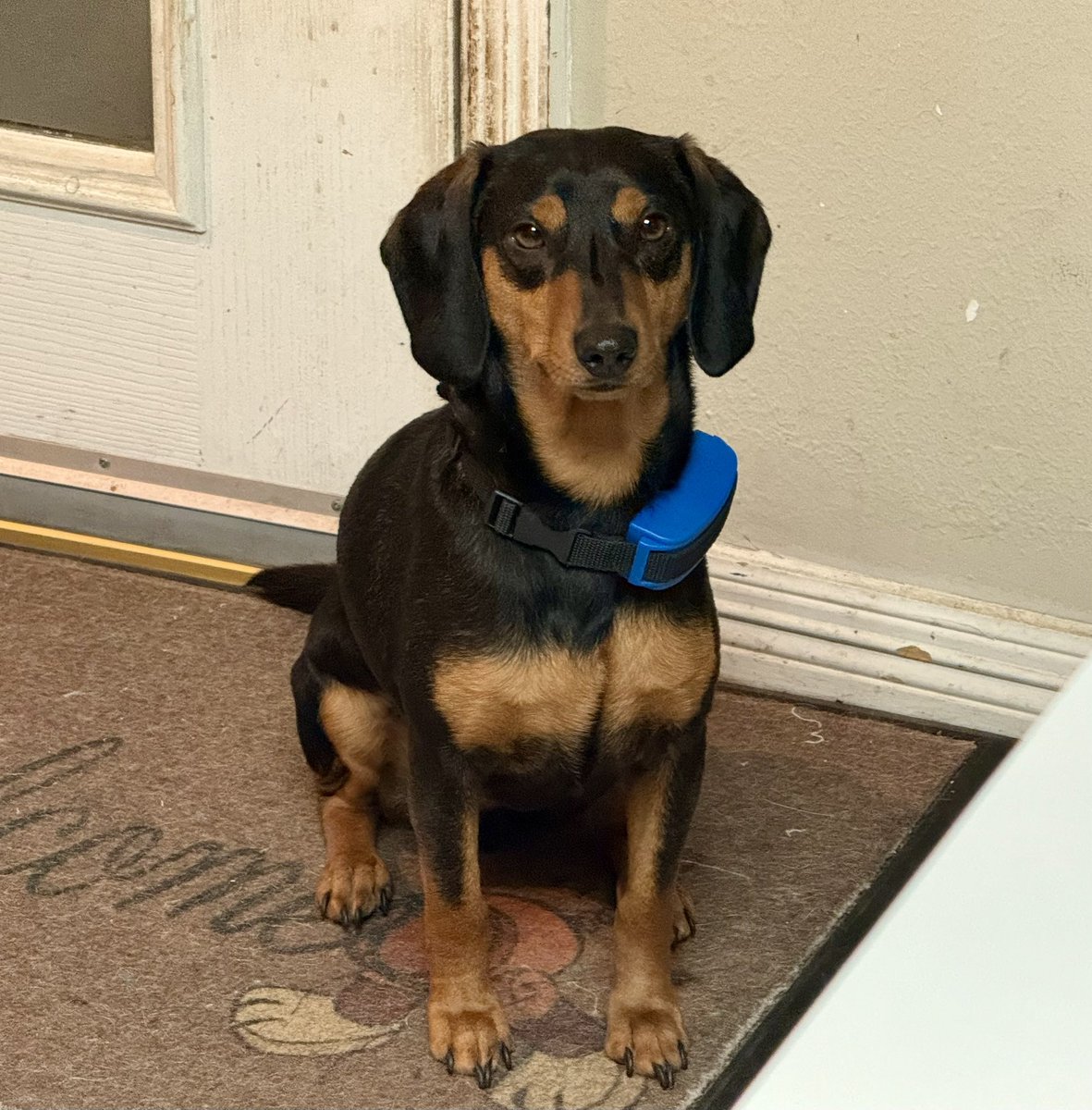 MorallyChuck's tweet image. Got some good photos of my sweet ladies…and the Demon Dog…