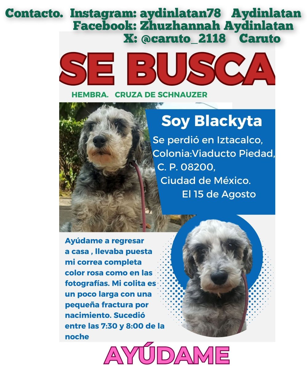 Caruto (@caruto_2118) on Twitter photo <a href="/Ari_Arciniega6/">Ari Arciniega</a> <a href="/CasLaaU/">Soy Lau. 💜🍉</a> Por favor, Ari, nos ayudas a difundir, estamos y seguimos buscando a nuestra pequeña ☹️☹️☹️😭😭😭😭, puede estar en cualquier lugar de la Ciudad de México o Estado de México, por favor; tiene 11 años, es muy tranquila, de antemano te agradezco muchísimo <a href="/Ari_Arciniega6/">Ari Arciniega</a> <a href="/CasLaaU/">Soy Lau. 💜🍉</a> Por favor, Ari, nos ayudas a difundir, estamos y seguimos buscando a nuestra pequeña ☹️☹️☹️😭😭😭😭, puede estar en cualquier lugar de la Ciudad de México o Estado de México, por favor; tiene 11 años, es muy tranquila, de antemano te agradezco muchísimo
