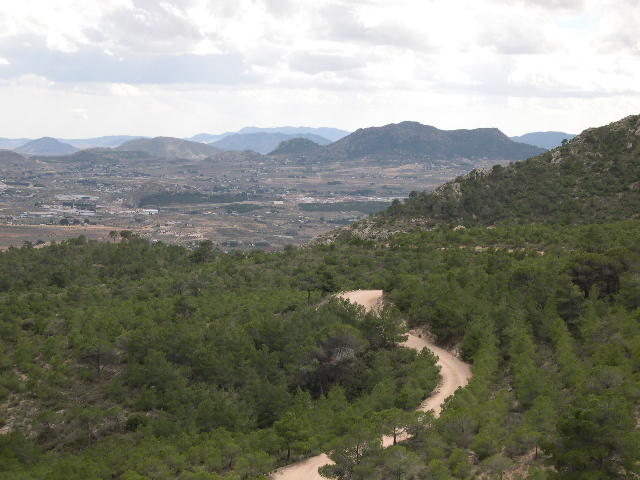 In <a href="/EcographyJourna/">Ecography</a> doi.org/10.1002/ecog.0… we show, using the ModEST model, that one size doesn’t fit all when restoring Mediterranean-type ecosystems. Site-specific plant assemblages are key to maximizing ecosystem functions &amp; trade-offs &amp; synergies vary with soil &amp; climate