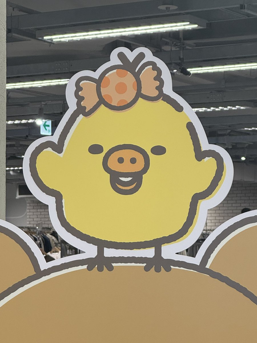 라힌 tweet media