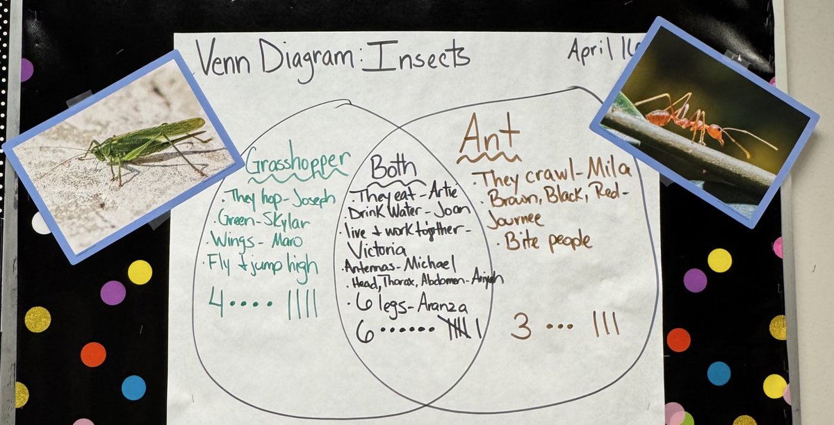 npinilla1's tweet image. #RISD #Prek3 #VennDiagram #Insects We have enjoyed learning about different critters! Helping children learn through play, procedures &amp;amp; routines is so fun!🫶🏽#ABC trace, say &amp;amp; write, #talkingstick sharing their fav. animal from the zoo trip! 🦒 @ForestLnAcademy