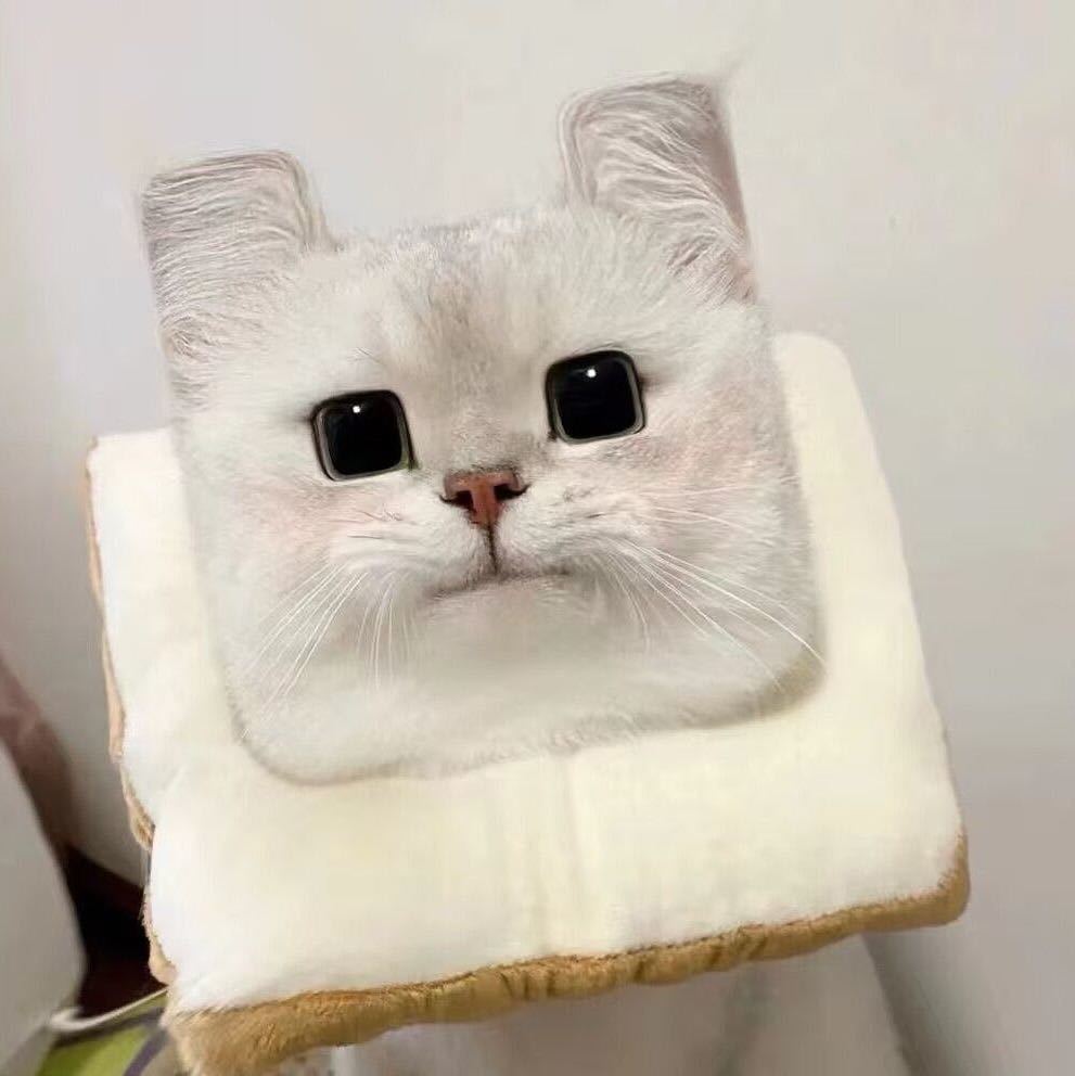 今天也是方方的